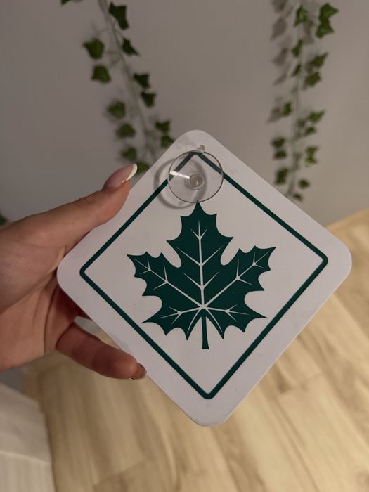 Znaczek zielony liść, swieży kierowca