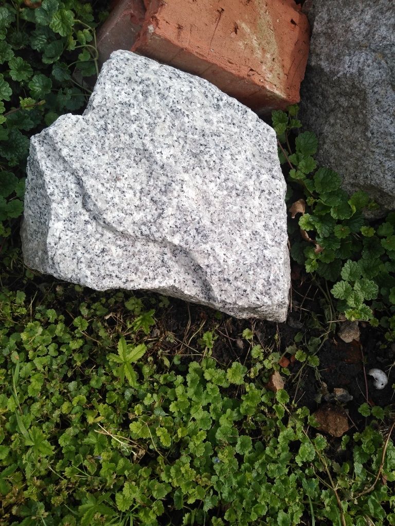 Oddam gruz za darmo