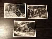 Oryginalne fotografie żołnierzy SS Wiking kamuflaże