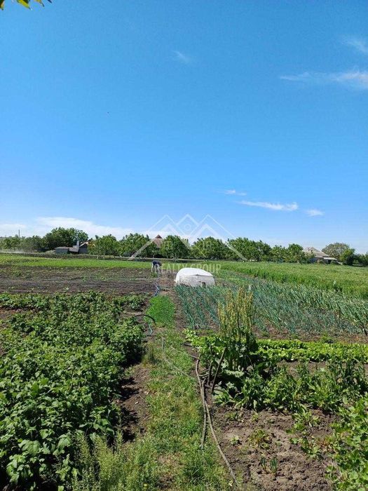 Продам маєток в с. Новоукраїнське ( ст. Нива Трудова) Євідновл.ення.