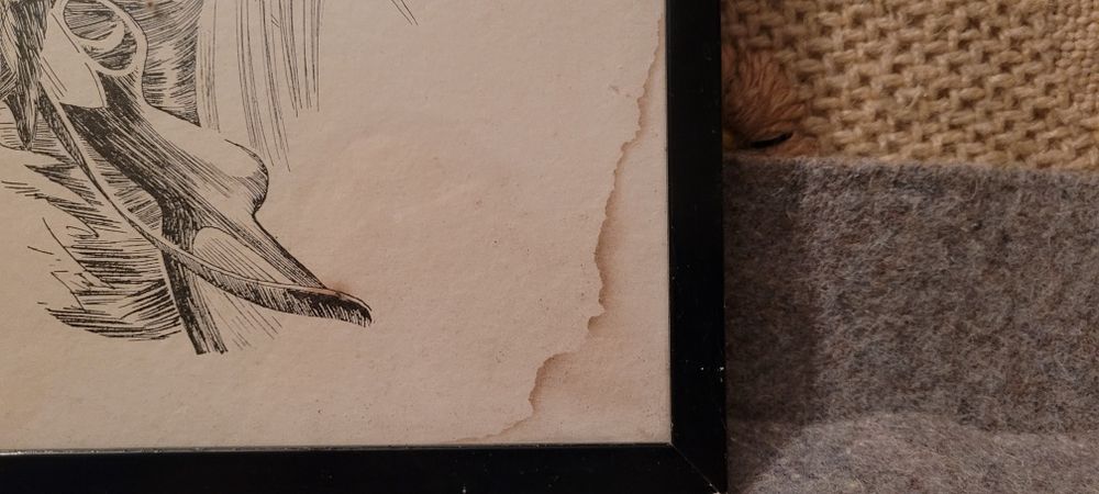 Stary obrazek 29x23 cm.