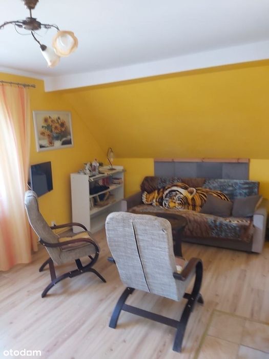 Do wynajęcia od zaraz mieszkanie bezczyszowe w Pieszycach