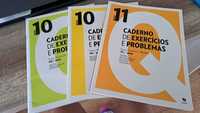 Livros Cadernos de Exercícios Física e Química 10º e Química 11º