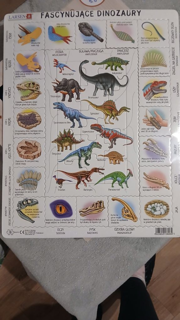 Puzzle dinozaury