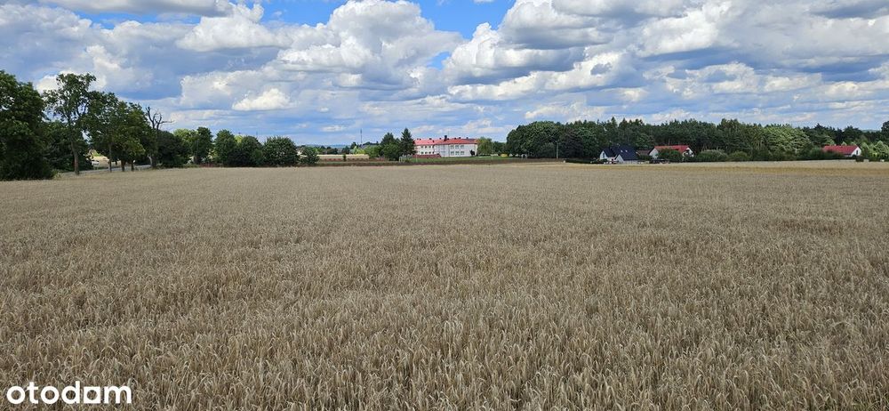 Miąsowa k. szkoły, działka BUDOWLANA, bezpośrednio