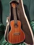 Ukulele z pokrowcem oraz stroikiem