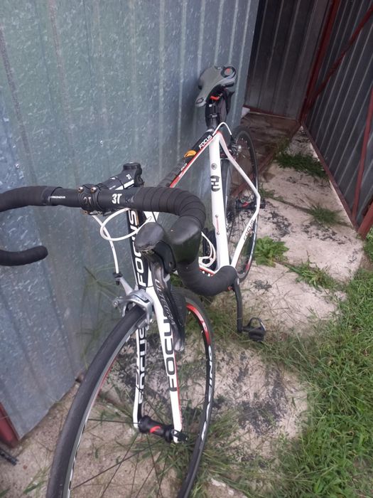 Kolarką Focus Izalco Pro