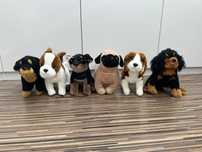 Pieski kolekcjonerskie pluszaki mops spaniel beagle mastif