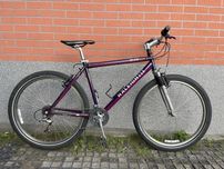 Rower Raleigh m80 26 cali