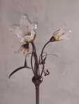Lampa Jupiter Paloma