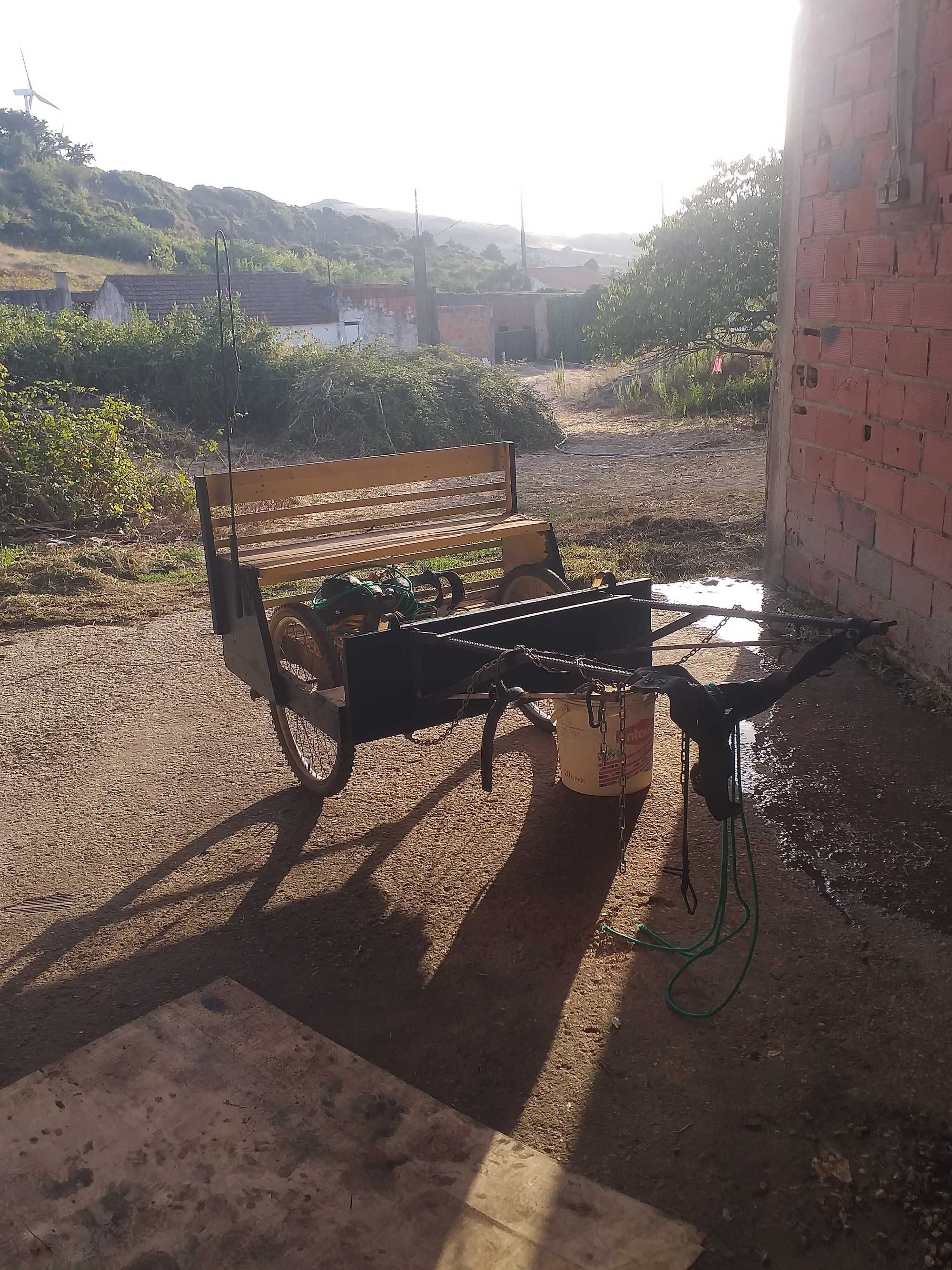 Ponei com charrete