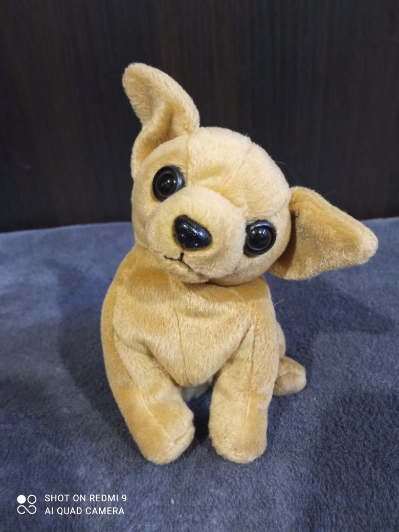 Мягкая игрушка Ty,хаски,кот,жаба,коала,йорк,медведь, заяц, кролик, Jel