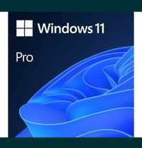 Microsoft Windows 11 Home/Pro PL fVAT