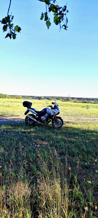 Продам honda CBF600sa