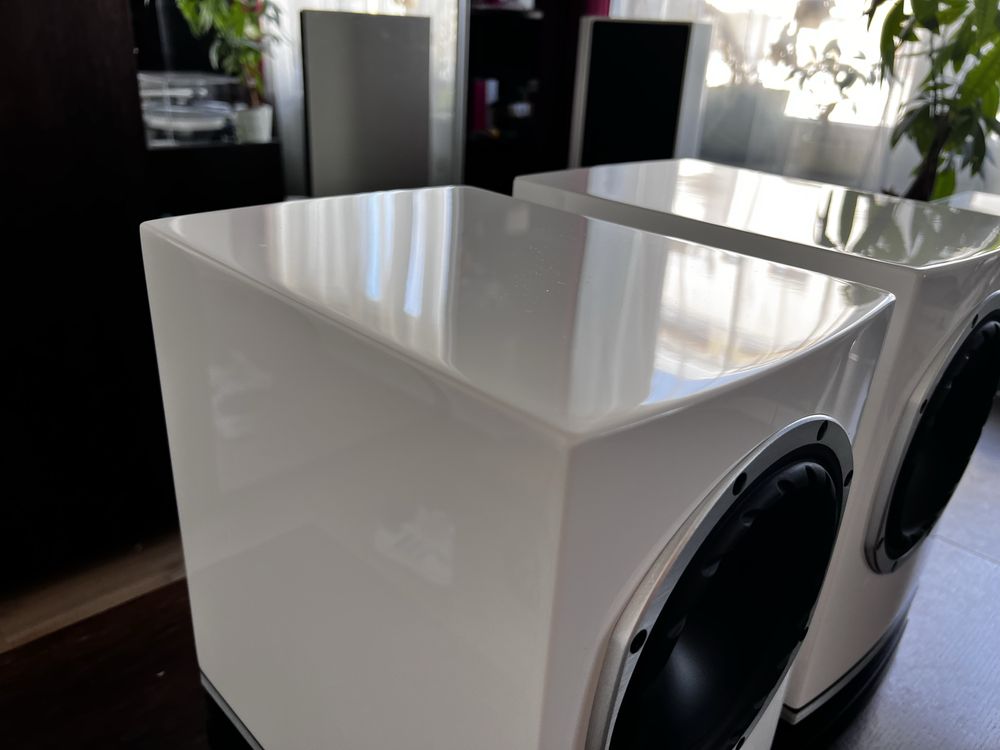Fyne Audio F500 white gloss - Białe Głośniki podstawkowe połysk - para