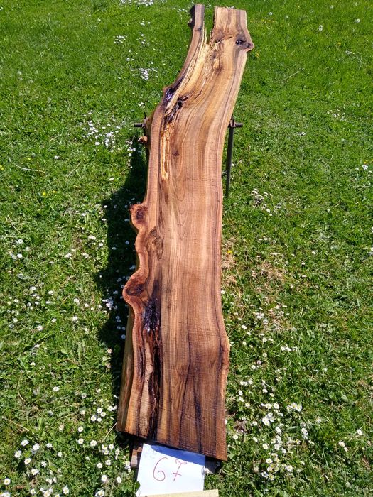 Deska orzech włoski