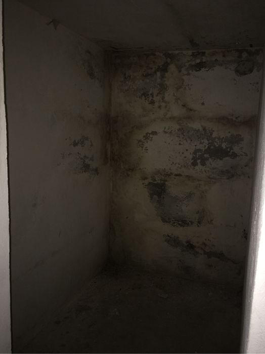 Гараж цегла, Видубичи