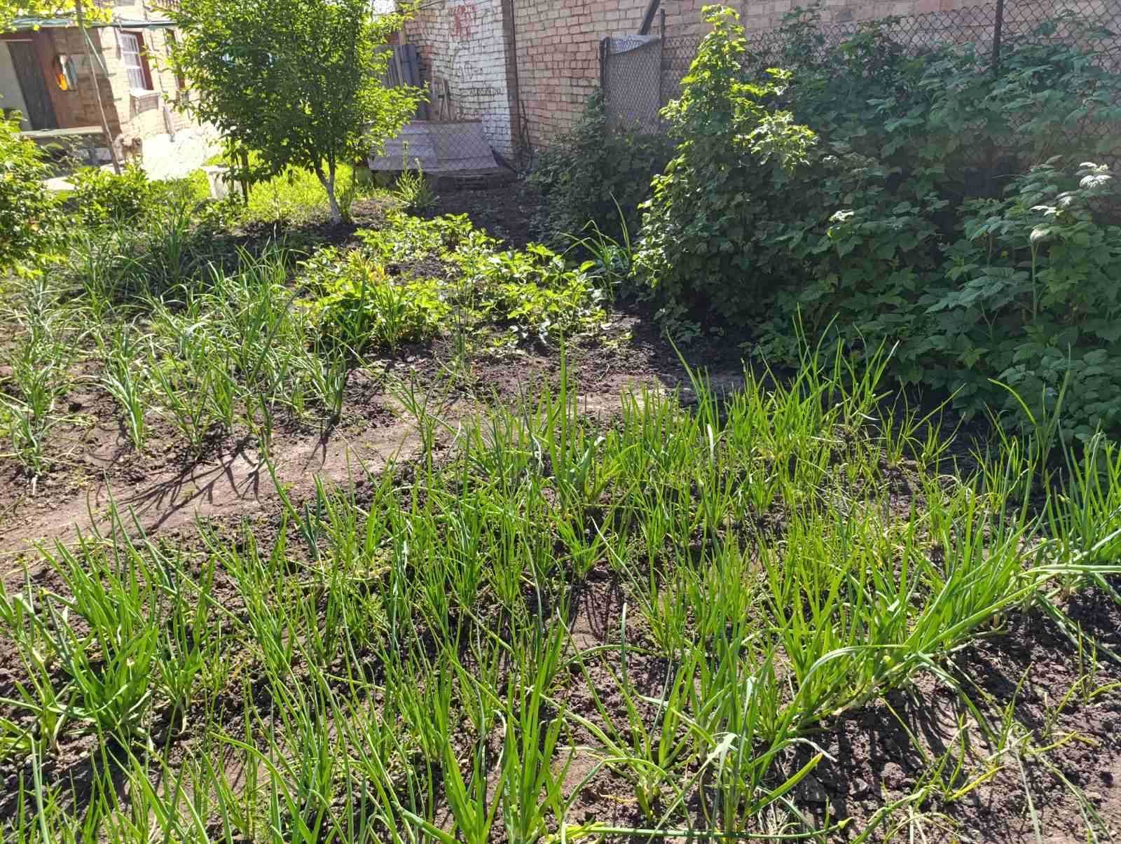 Терміновий продаж будинку по вул. Приречній