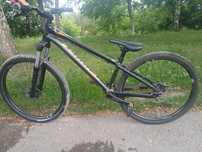 Specialized p3 2019