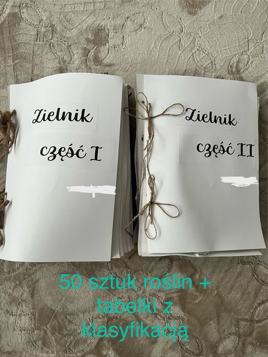 zielnik A3 50 roślin z korzeniami,liścmi, kwiatami