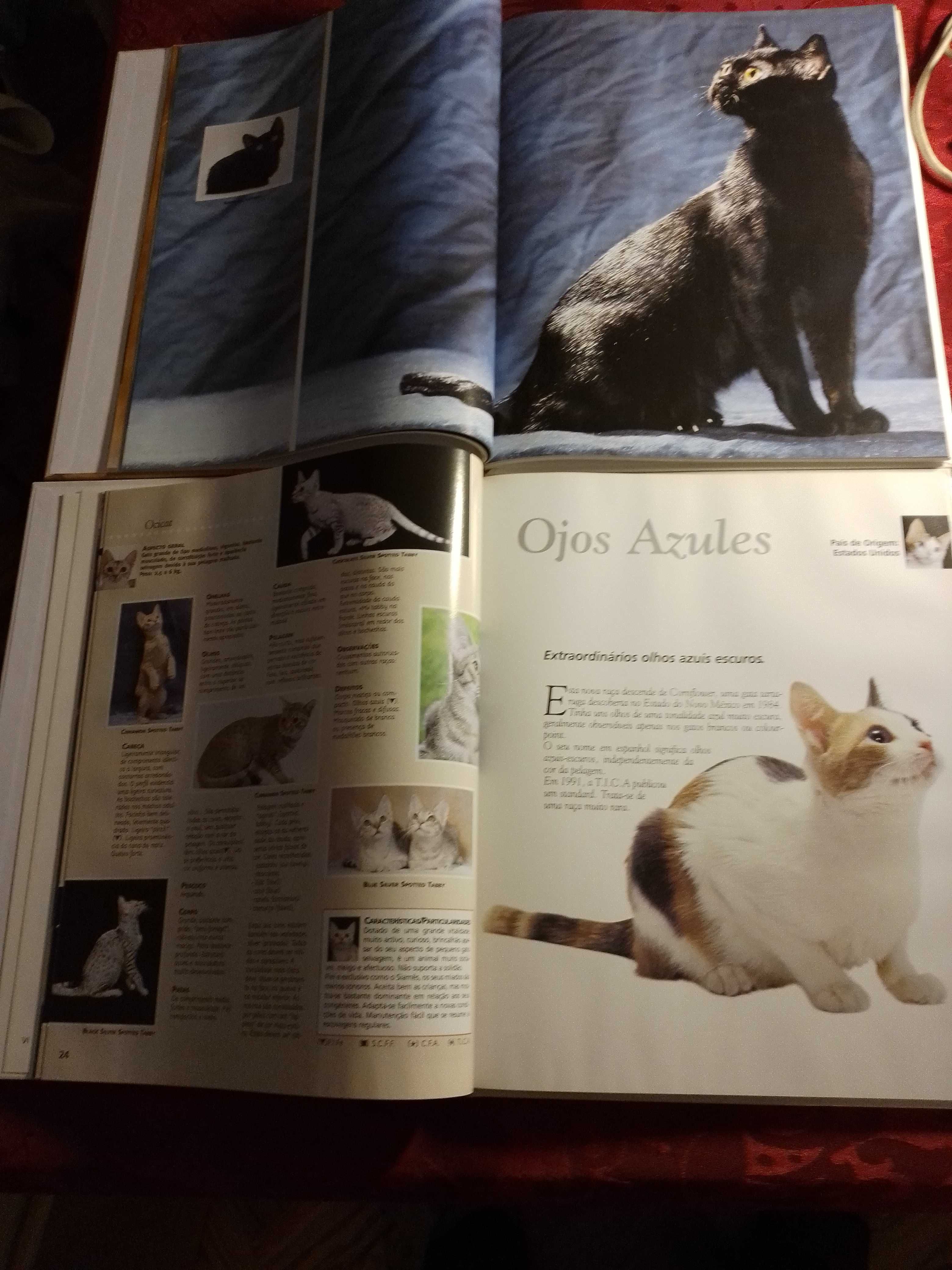 Miau!Miau!Enciclopédia do Gato-Royal Canin-V.2e4Cada4E-Regras3EDesde3E