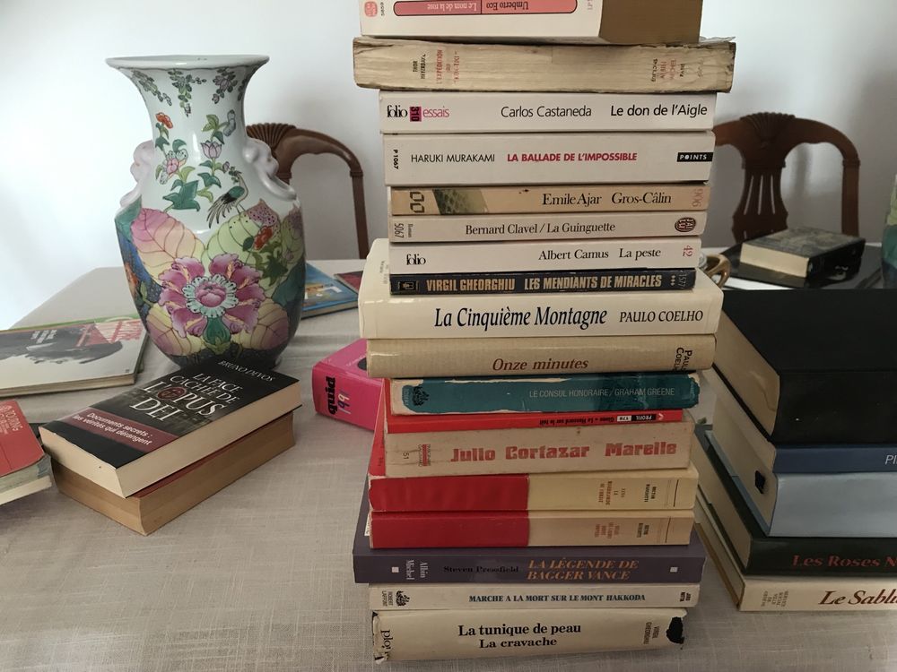Vários livros de interesse mundial, em francês, para doar.