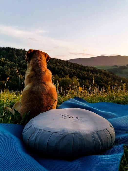 Poduszka siedzisko do medytacji ( typ Zafu)