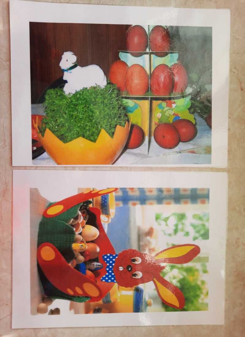Pakiet ilustracji A 4 w dużym segregatorze "Przedszkole"
