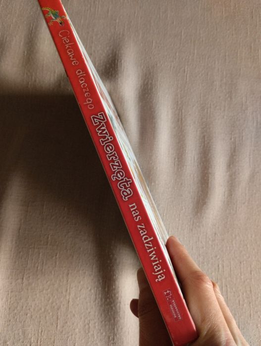 Zwierzęta nas zadziwiają ciekawe dlaczego