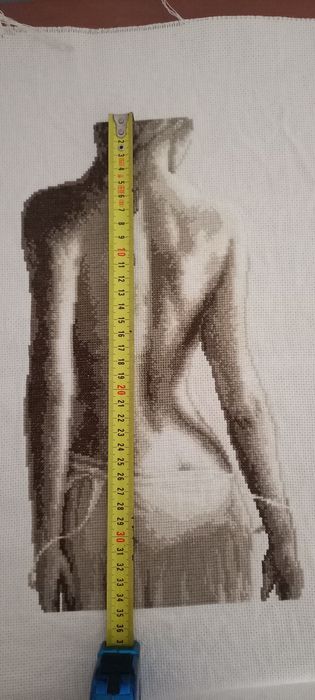 Quadro bordado ponto cruz Nu