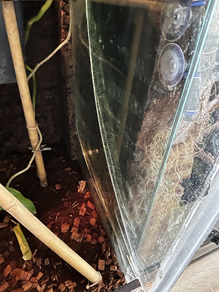 Terrarium 50x50x100
