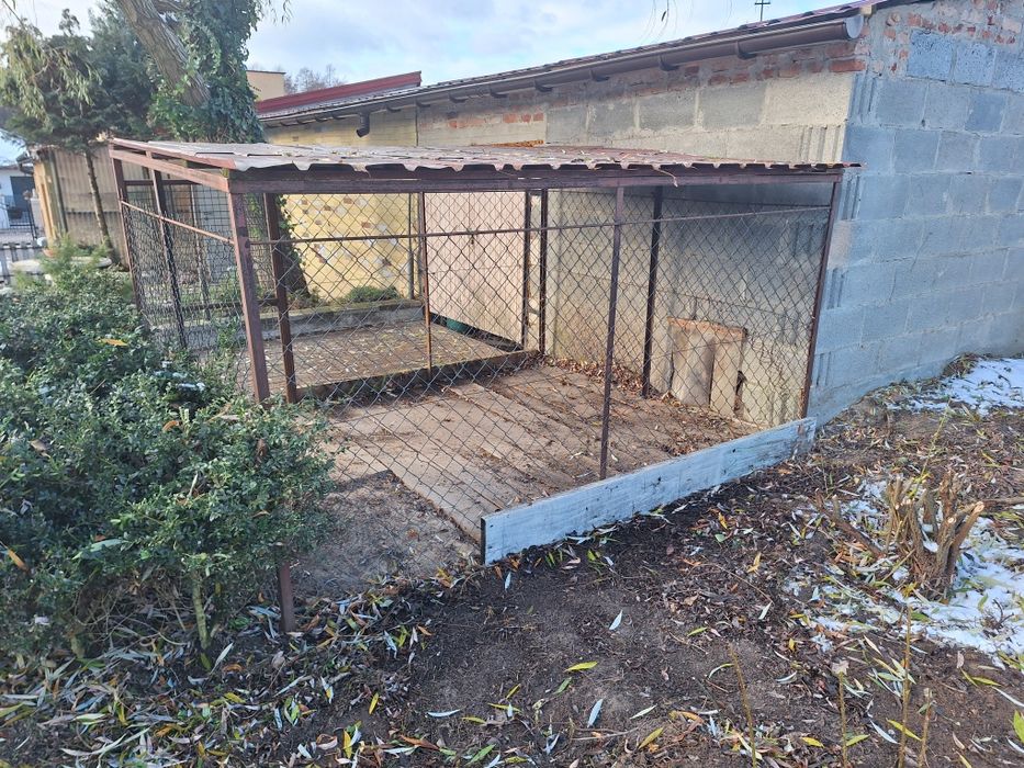 Kojec wybieg dla pieska duży