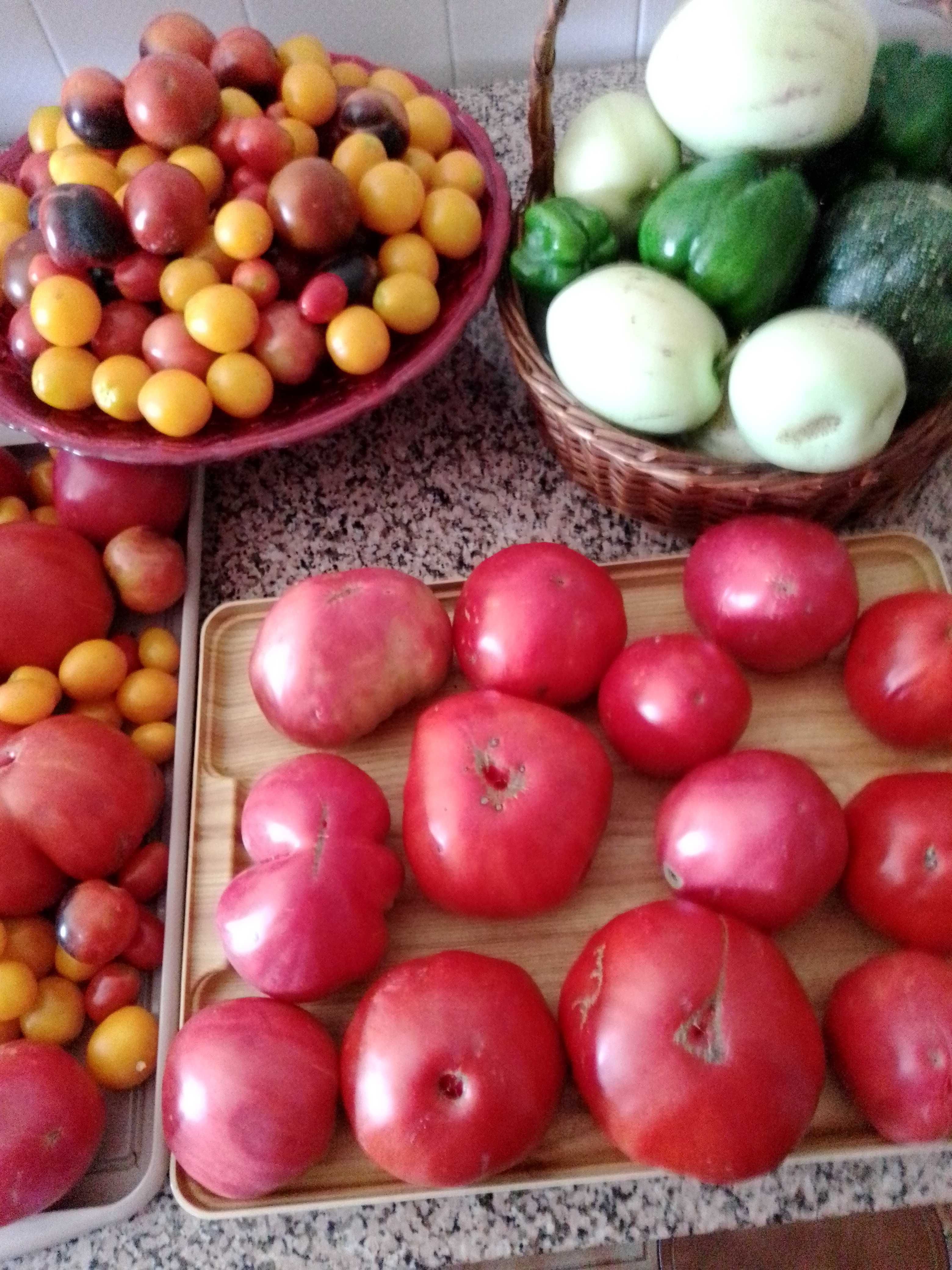 Tomate Coração de Boi e Cereja - Biológico