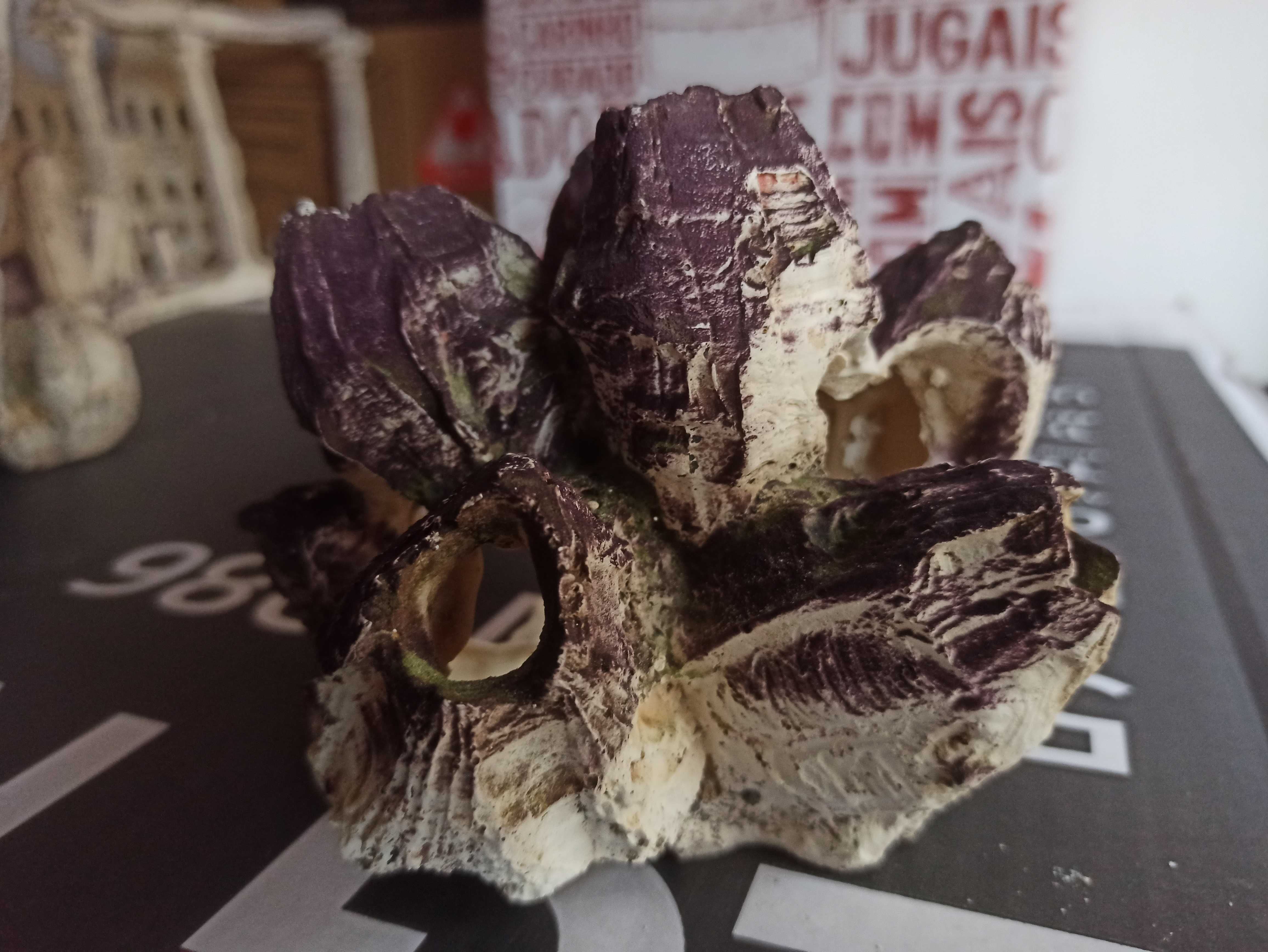 Decoração para aquário