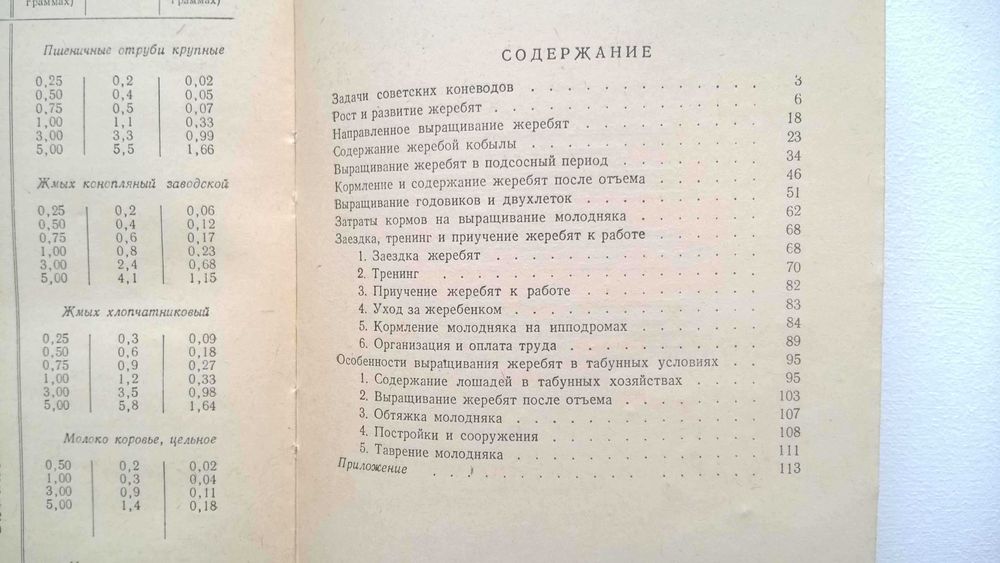 Выращивание жеребят. Добрынин В.П.