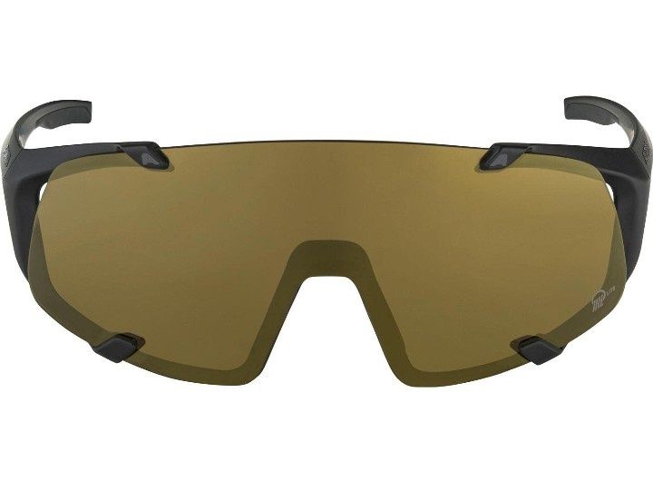 Okulary Alpina gogle Hawkeye Q-LITE roz uniwersalny NOWE