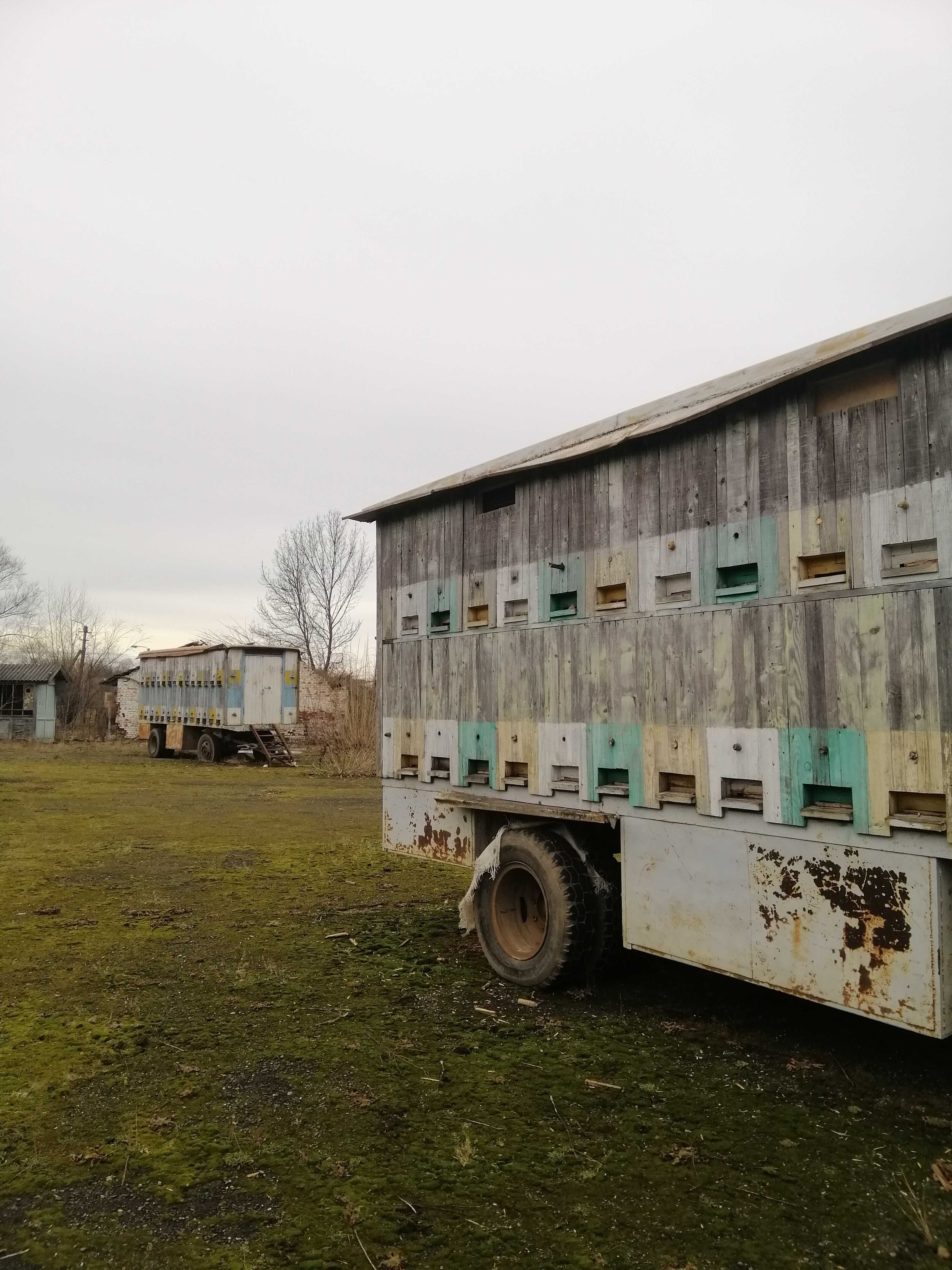 продам павільйон із бджолами