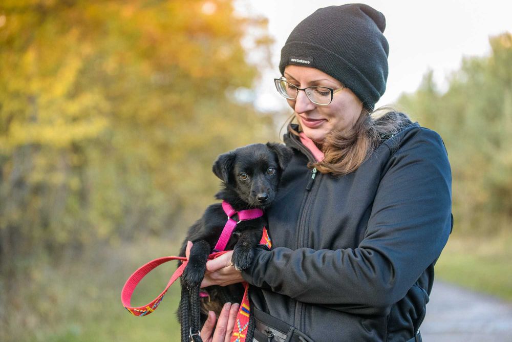 MABISIA - przestraszona dziecinka w schronisku, szczeniak ok. 6 msc