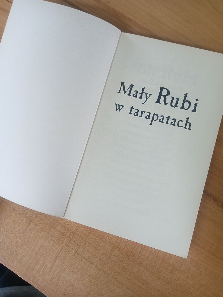 Mały Rubi w tarapatach Holly Webb