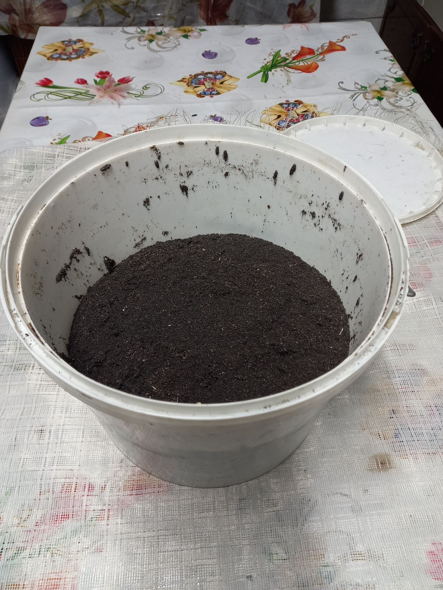 ВОСКОВА МОЛЬ ,   продукція бджільництва