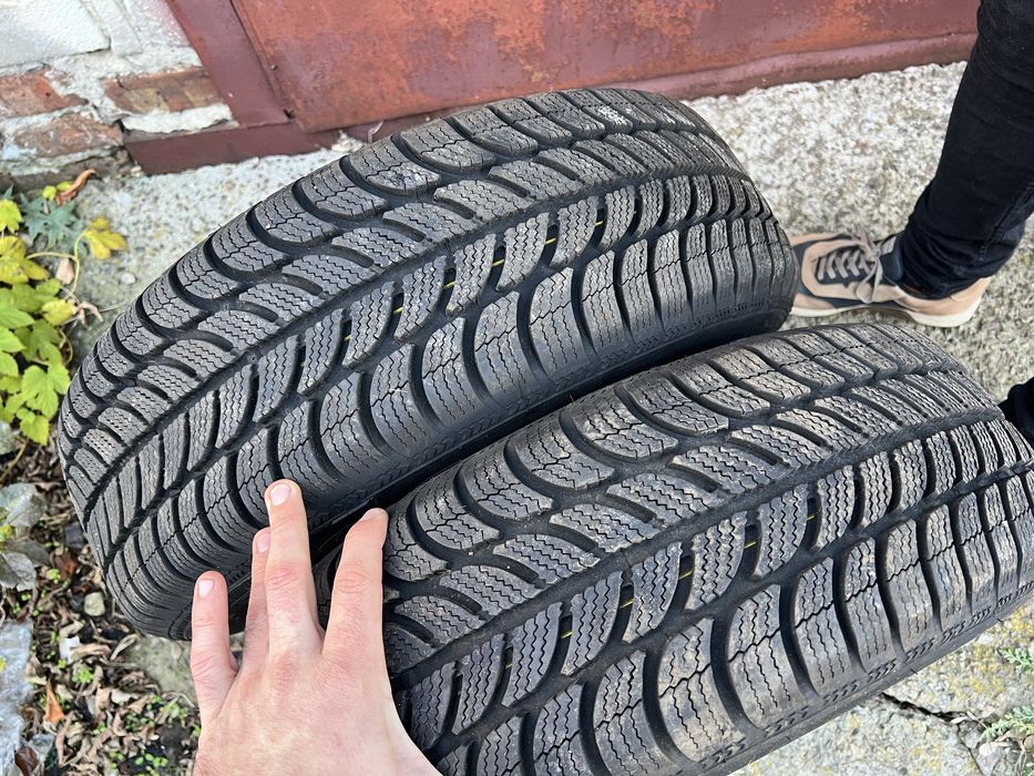 Шини зима Debica Frigo r15 195/65 2024 рік