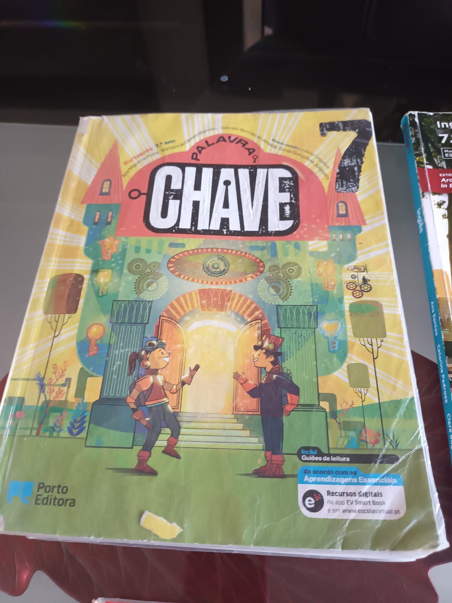 Livros 7 ano usados