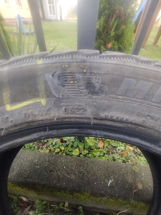 Шины Micheline 17