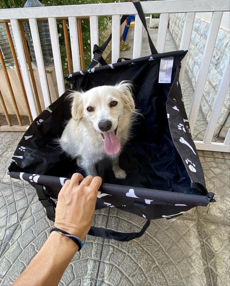 Capa de proteçao de carro para transporte de animal