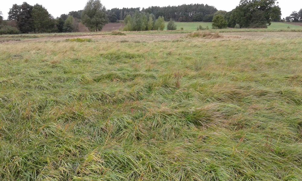 Działka rolna 13600 m2 Strzelecino.