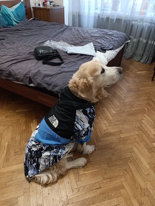 Одяг для великих собак