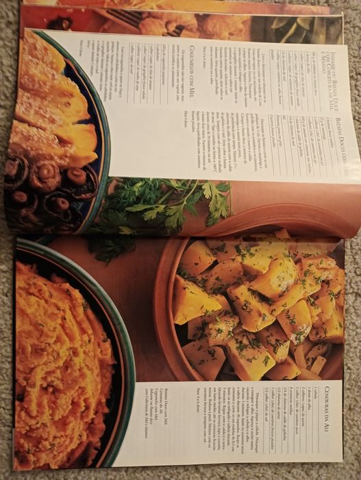 Vegetais: Entradas - pratos principais - saladas	- Como Novo!