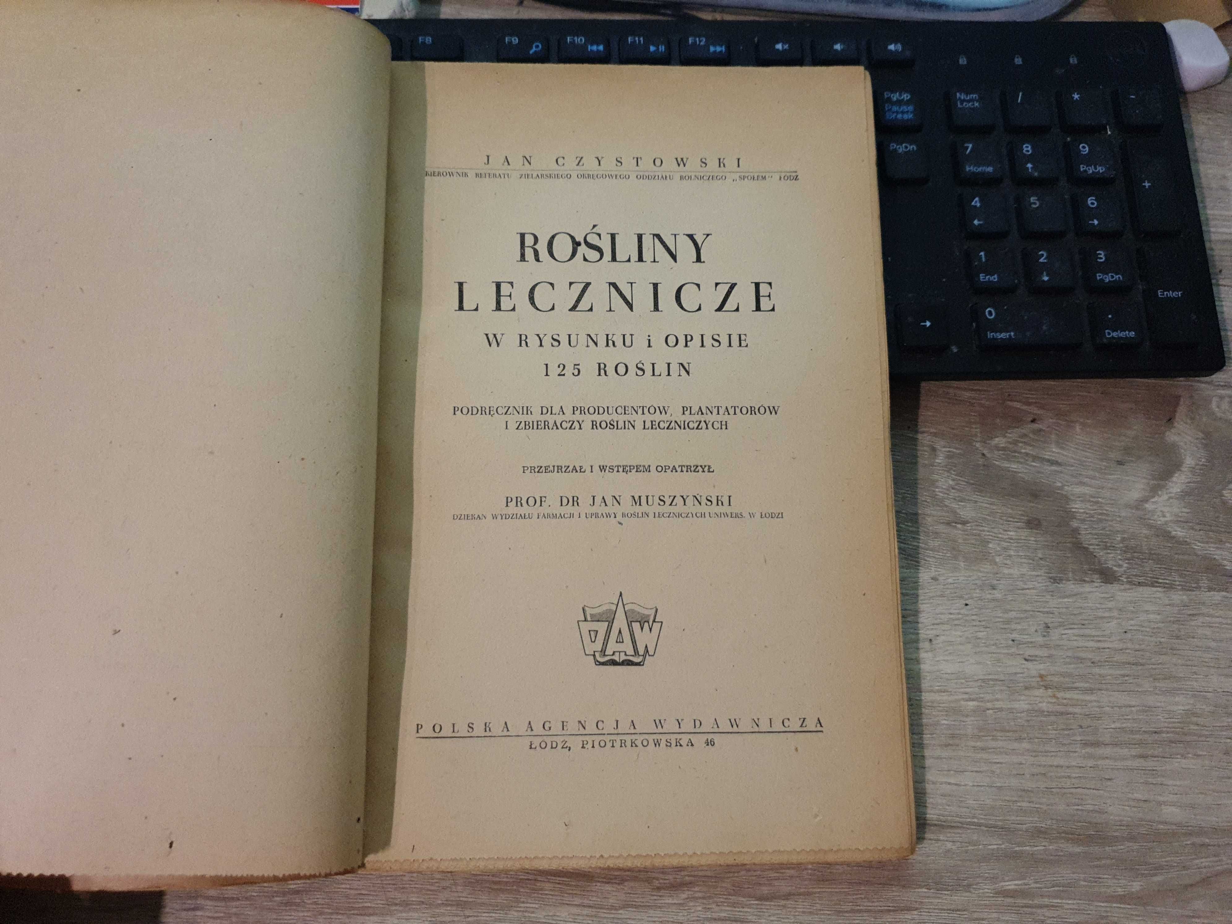 Rośliny lecznicze w rysunku i opisie 125 roślin