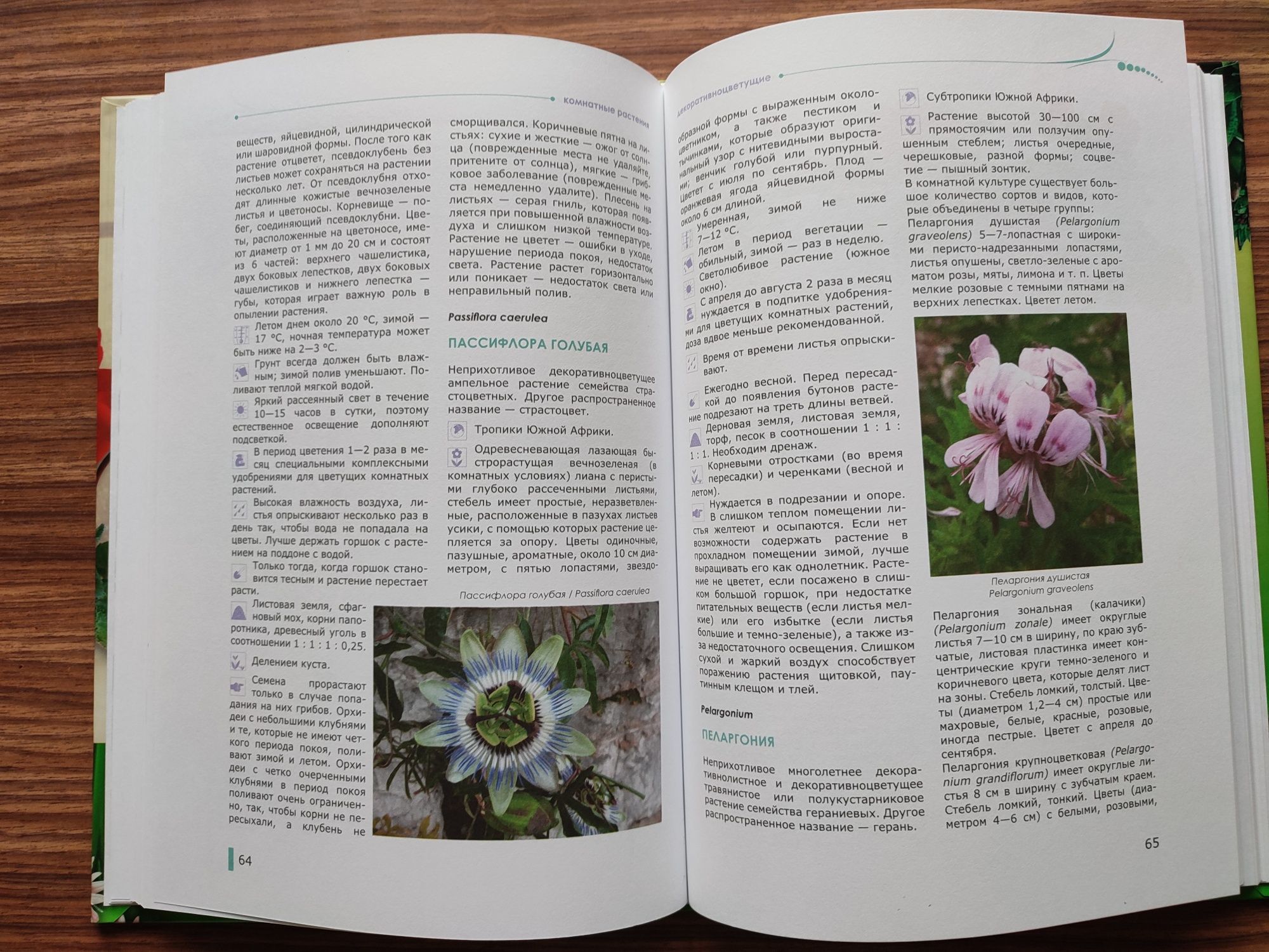 Книга Комнатные растения