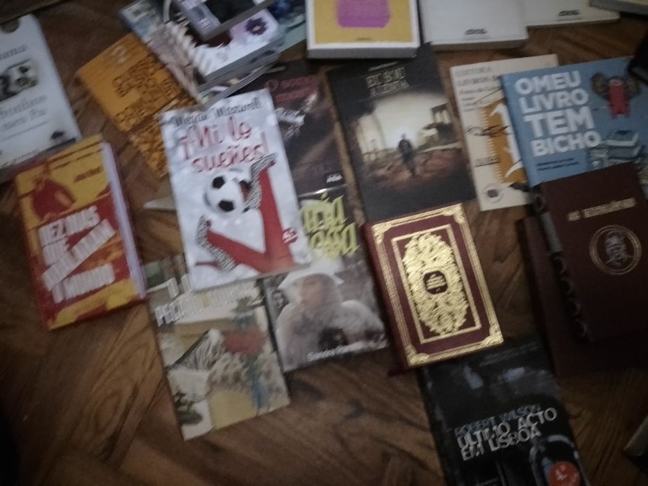 Saldos De livros: saramago e muitos outros antigos/Modernos  Desde 2E